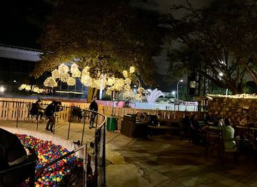 brazil/brasilia/bar/hidden-brasilia