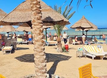 egypt/marsa-alam/bar/fresh-juice-tutti-frutti