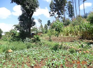 kenya/mount-elgon-national-park/bar/homeboyz-pub-kimondo