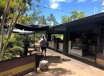 australia/magnetic-island/bar/the-bikini-tree-cafe-restaurant