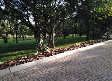 south-africa/bushveld/bar/rooi-ivoor-safari-camp