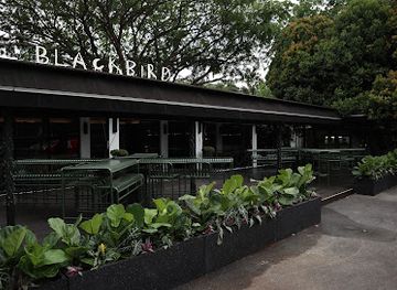 singapore/southern-ridges/bar/the-blackbird