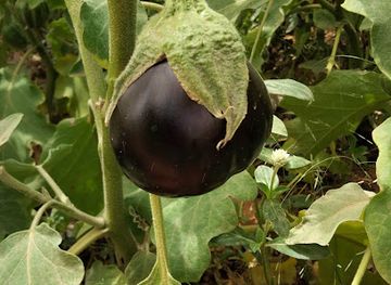 niger/air-mountains/bar/level-club-lounge