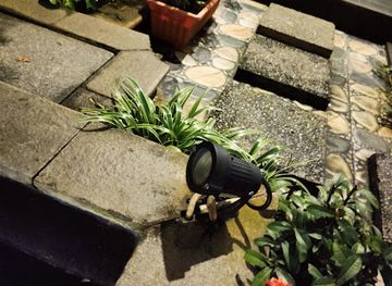 indonesia/west-kalimantan/bar/ariesta-soju-beer-house