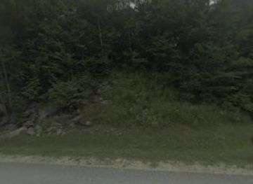 vermont/killington/bar/bear-bar