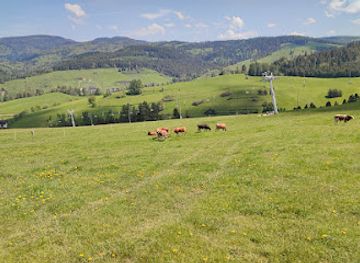 poland/beskid-niski-mountains/bar/szalas-bukowinki