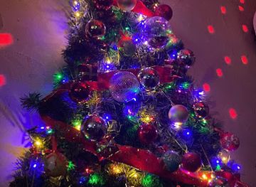 japan/suruga/bar/bar-pisco