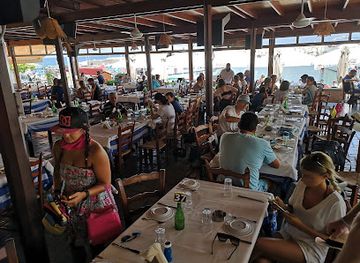 cyprus/latchi-beach/bar/y-p-fish-tavern