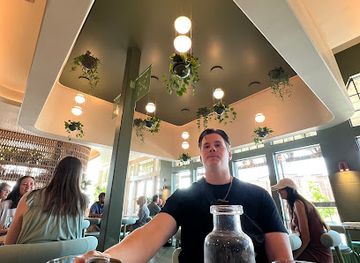 arkansas/springdale/bar/hail-fellow-well-met