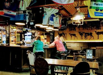 finland/kainuu/bar/villipeura