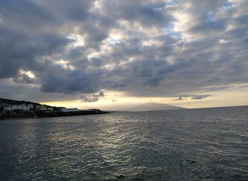 algeria/chrea-national-park/bar/birar