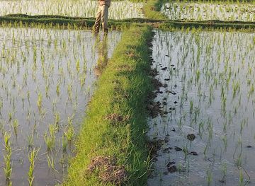 benin/alibori/bar/complexe-abass