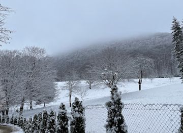 romania/retezat-national-park/bar/bar