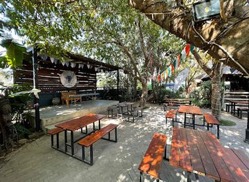 botswana/nxai-pan-national-park/bar/bull-bush