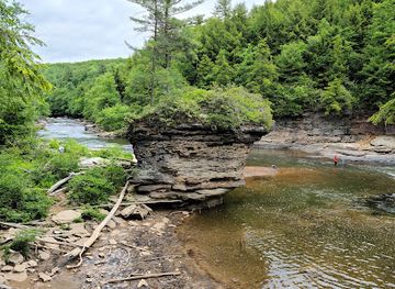 maryland/swallow-falls-state-park/bar/swallow-falls-trailhead
