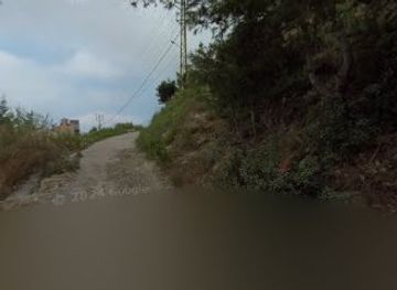 lebanon/keserwan-district/bar/toekan-bar