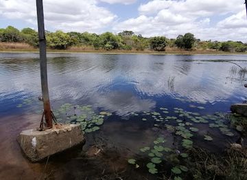 mozambique/cabo-delgado-province/bar/restaurante-bar-chikuirimiti