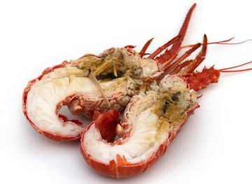 new-caledonia/lifou/bar/snack-le-pary