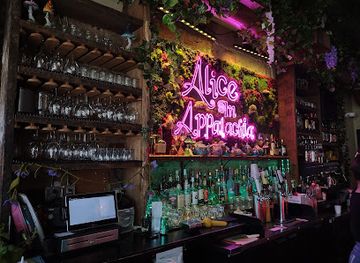 tennessee/knoxville/market-square/bar/alice-in-appalachia