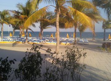 belize/coastal-plains/bar/harvest-caye-bar-grill