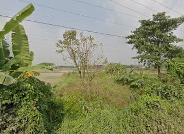 bangladesh/madhupur-tract/bar/sohag-from-uae