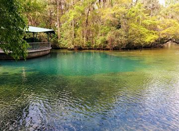 florida/homosassa-springs-wildlife-state-park/bar/ellie-schiller-homosassa-springs-wildlife-state-park