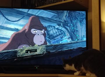 georgia/shida-kartli/bar/