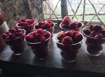 georgia/vardzia/bar/kafe-bari-kakhisi