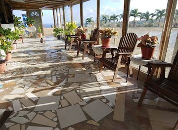 saint-lucia/anse-la-raye-quarter/bar/paula-s-place