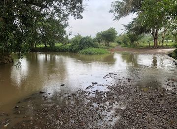 nicaragua/jinotega-mountains/bar/rio-el-empedrado