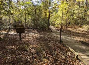 south-carolina/congaree-national-park/bar/bluff-campground