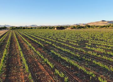 arizona/chiricahua-national-monument/bar/sonoran-wines-vineyards