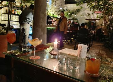 mexico/lacandon-jungle/bar/blom-bar