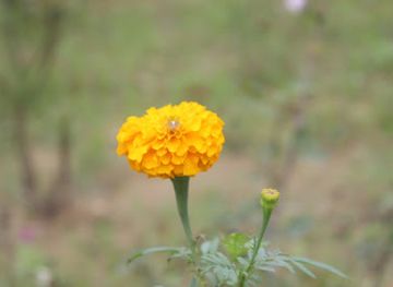 bangladesh/rangamati/bar/jhumbi-best-fashion-house-in-rangamati