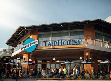 virginia/southwest-virginia/bar/blue-moon-taphouse