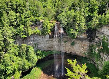tennessee/fall-creek-falls-state-park/bar/fall-creek-falls-betty-dunn-nature-center