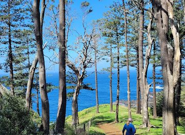 norfolk-island/two-chimneys/bar/two-chimneys-reserve