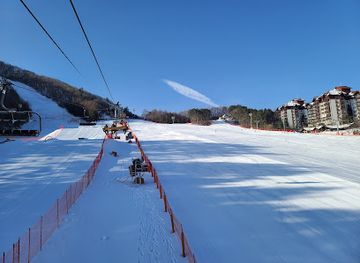 south-korea/pyeongchang-ski-resorts/bar/mona-yongpyong-ani-fore-the-gold