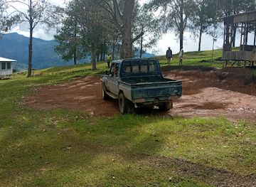 papua-new-guinea/chimbu-region/bar/tinatina