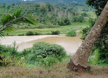 nicaragua/south-caribbean-coast-autonomous-region/bar/bluefields-nicaragua