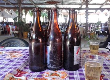 bolivia/madidi-national-park/bar/el-motacusal