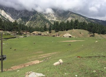 pakistan/fairy-meadows/bar/shangrila-fairy-meadow-resort