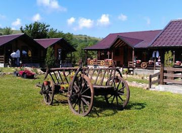 romania/cheile-nerei-national-park/bar/pensiunea-casa-cu-roti