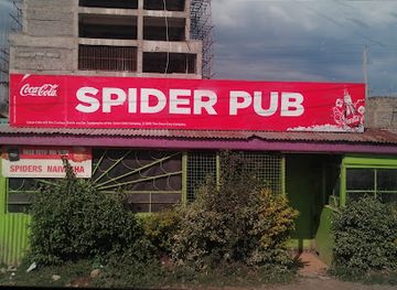 kenya/naivasha/bar/spider-pub
