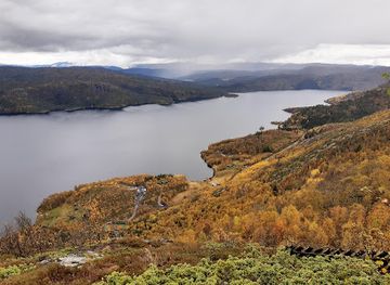 norway/rauland/bar/te-hytta-raulandsfjell