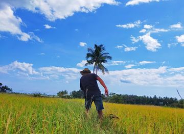 timor-leste/baucau/bar/caibada-makasae