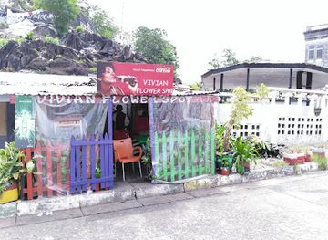 liberia/grand-cape-mount-county/bar/vivian-flower-spot
