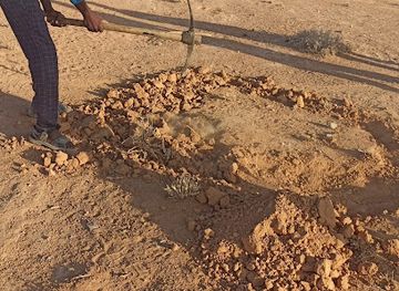 somalia/sool/bar/baraaagta-abdi-mahad