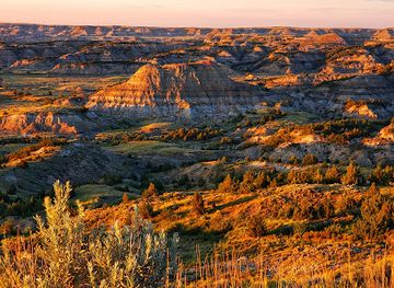 north-dakota/theodore-roosevelt-national-park/bar/theodore-roosevelt-national-park