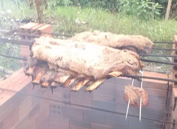 brazil/florianopolis/ingleses-do-rio-vermelho/bar/bar-do-mario